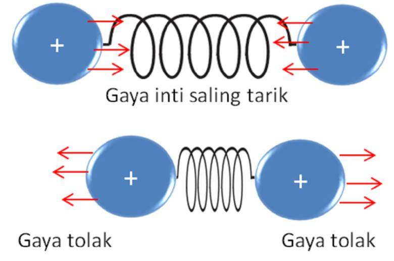 Gaya Inti (dalam fisika)