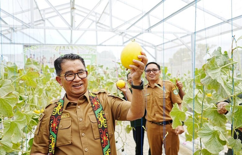 Panen Perdana Melon di Greenhouse SMAN 14 Samarinda,Pj Akmal: Semangat Menanam Pohon Dimulai Dari Sekolah