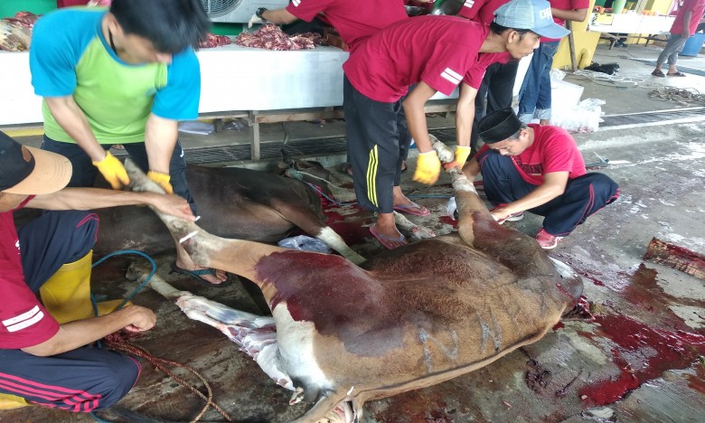 Panitia Masjid Jami' KH. Muhammad Sadjid Sembelih Puluhan Hewan Qurban