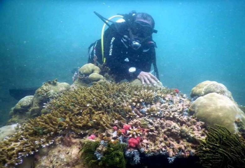 Desa Kersik Akan Kembangkan Wisata Diving