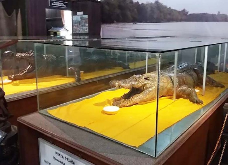 Revitalisasi dan Festival Disiapkan untuk Hidupkan Museum Kayu Kukar