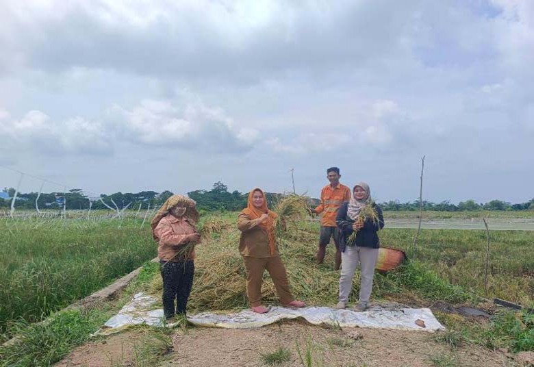 Desa Singa Gembara Maksimalkan Potensi Pertanian