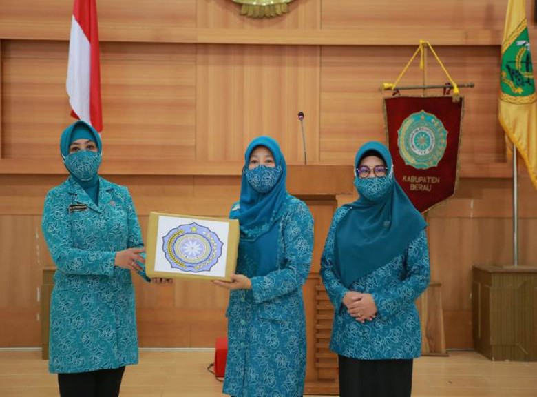 Hj Norbaiti Terima Kunker Ketua Umum TP PKK