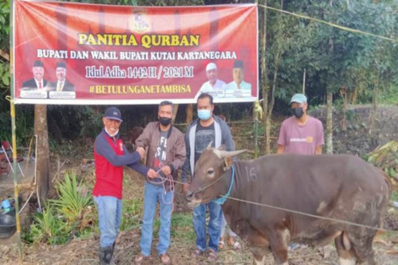 Bupati Edi Damansyah Serahkan Sapi Kurban untuk Jurnalis Kukar