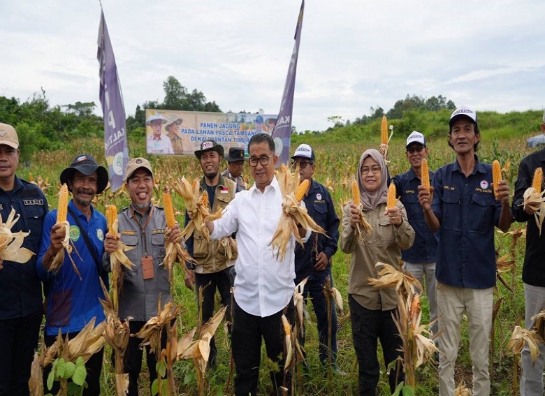 Pj Gubernur Kaltim Panen Jagung di Lahan Eks Tambang