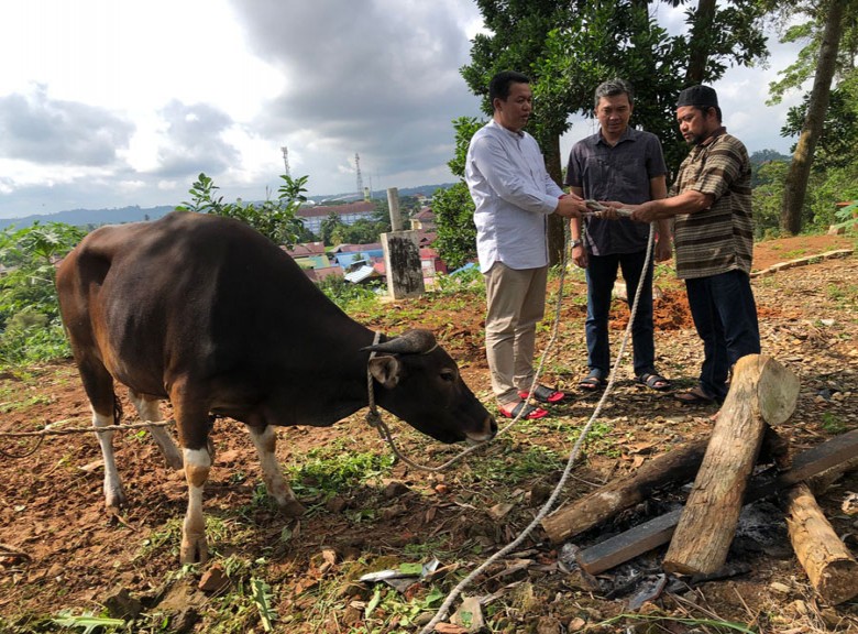 PWI Kukar Terima Bantuan 1 Ekor Sapi Kurban