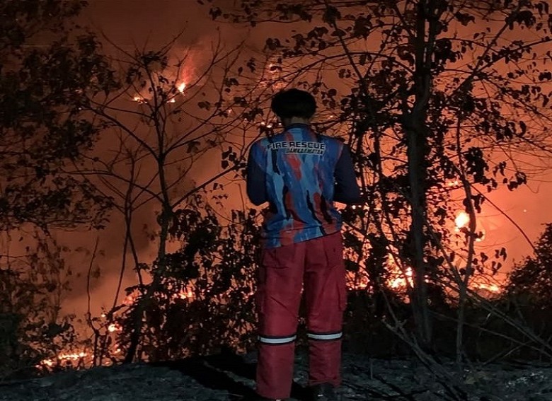 Dua Pekan Karhutla Hampir Terjadi Setiap Hari di Muara Jawa, 83 Hektare Lahan Terdampak