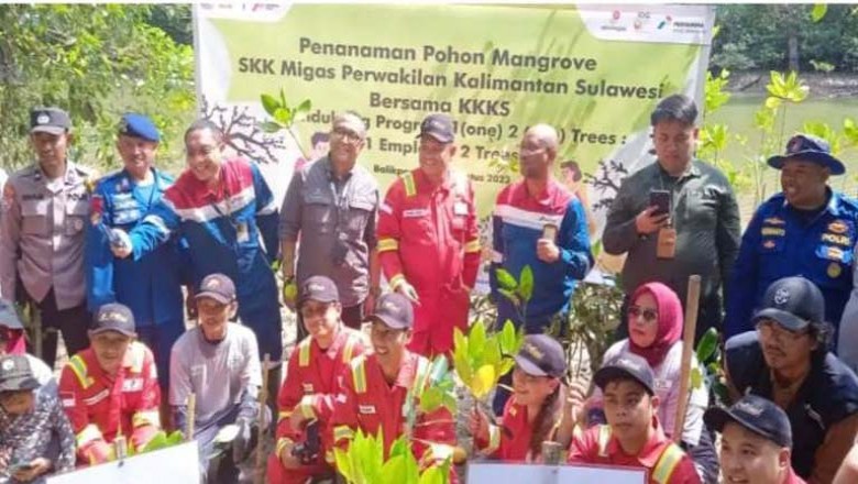 SKK Migas Bersama KKKS Gelar Tanam Pohon Mangrove di DAS Sungai Lamaru