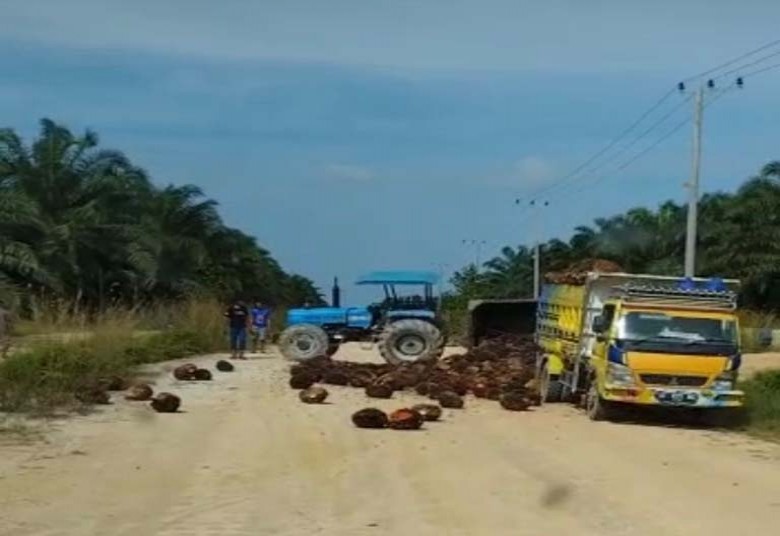 Kecelakaan Tunggal, Truk Sawit Terbalik di Jalan Penghubung Sidung-Segah