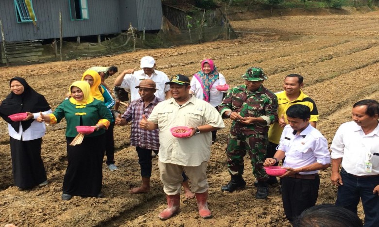 Kukar Uji Coba Tanam Komodity Bawang Merah