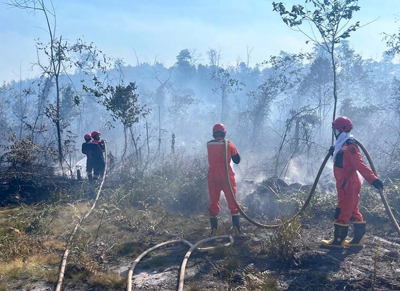 Karhutla di Berau Kian Mengkhawatirkan, Titik Api Mulai Mendekati Permukiman Warga