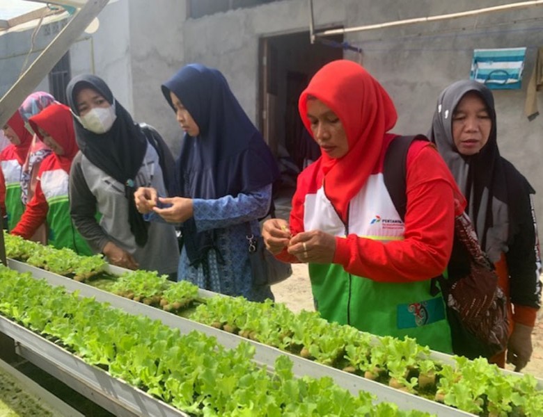 Tingkatkan Kualitas Kesehatan, Binaan Pertamina Kampanyekan Tanaman Hidroponik di PPU
