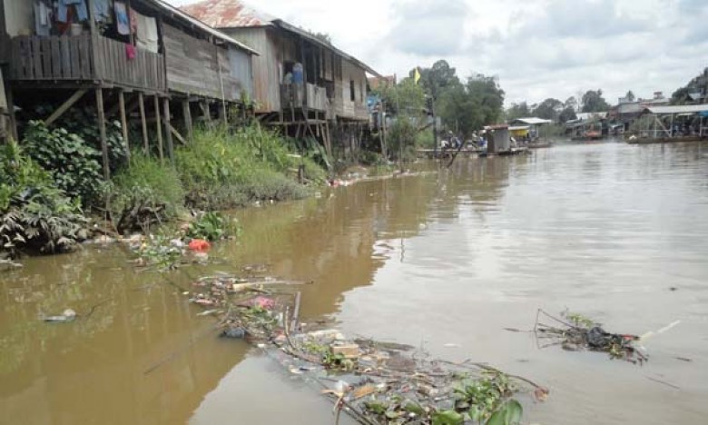 Aktivitas Tambang dan Perkebunan Penyumbang Pencemaran Lingkungan
