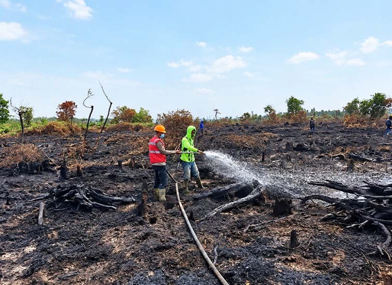 Setelah Hampir Sebulan Terbakar, Karhutla Muara Muntai Akhirnya Zero