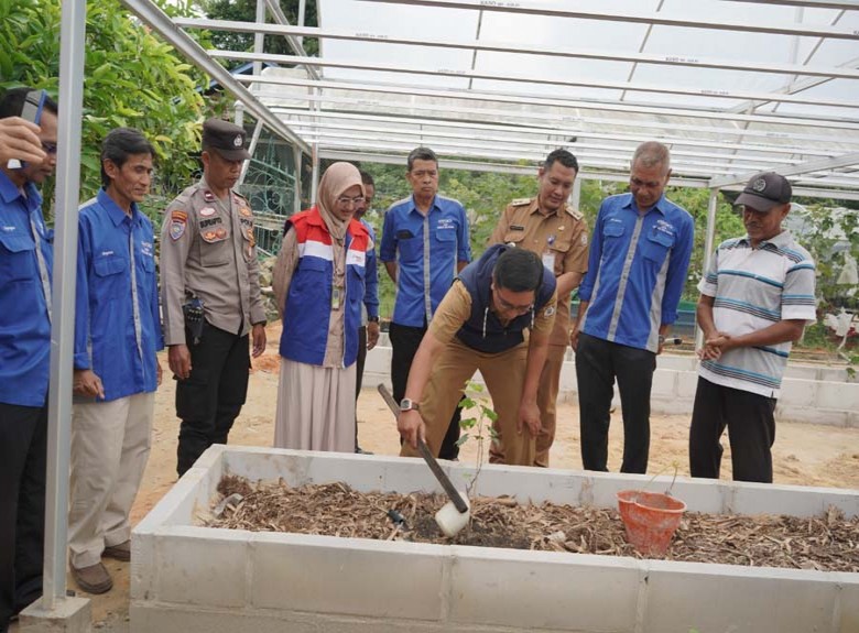 Optimalisasi Lahan, Pertamina dan LKM Semarak Bina Mandiri Bangun Green House Anggur
