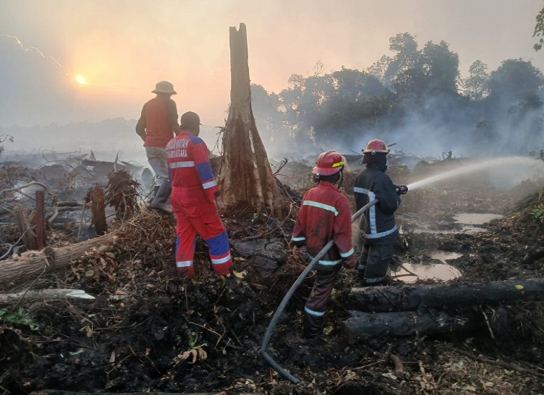 Kebakaran Lahan Hanguskan 60 Hektare di Sambera Muara Badak