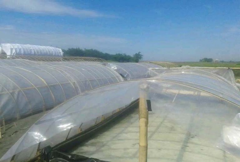 Selain Potensi Perikanan, Desa Kersik Miliki Potensi Kembangkan Produk Garam