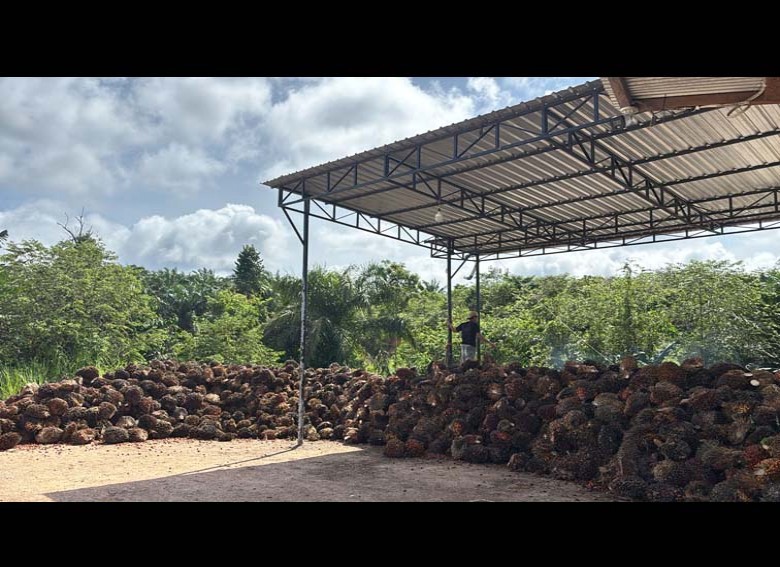 Disbun Harapkan Pengawasan Terhadap Timbangan Ramp Truk TBS Harus Rutin