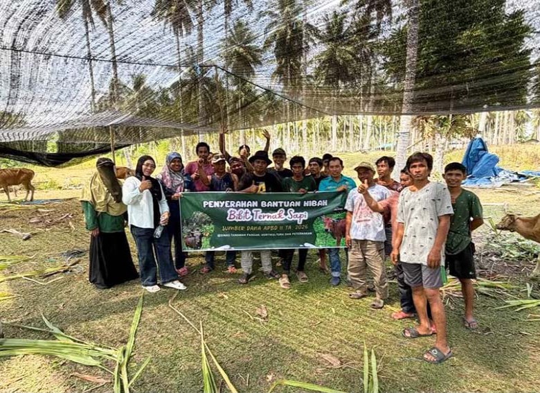 DTPHP Berau Salurkan 90 Sapi Senilai Rp1,2 Miliar ke Lima Kampung, Fokus Perkuat Pembibitan dan Dorong Pertumbuhan Populasi Ternak