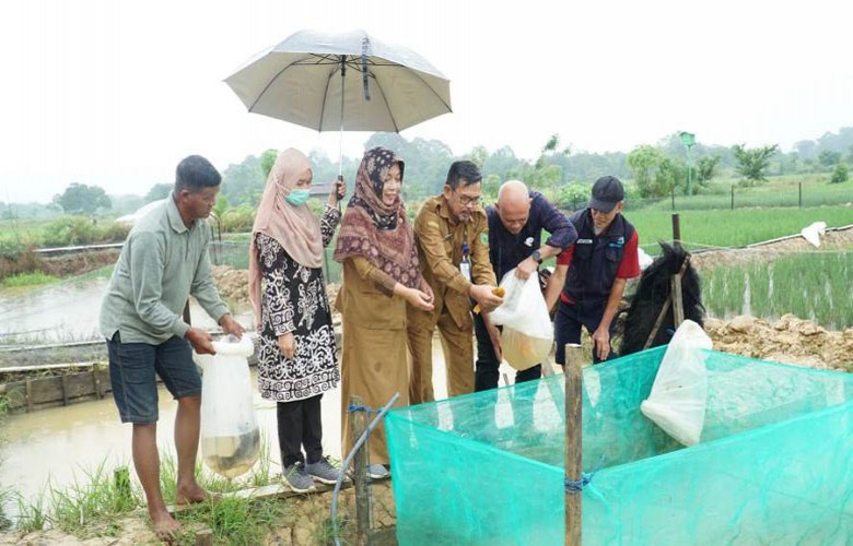 Kombinasikan Pertanian dan Budidaya Perikanan, Kampung Tasuk Diberikan Pelatihan Mina Padi