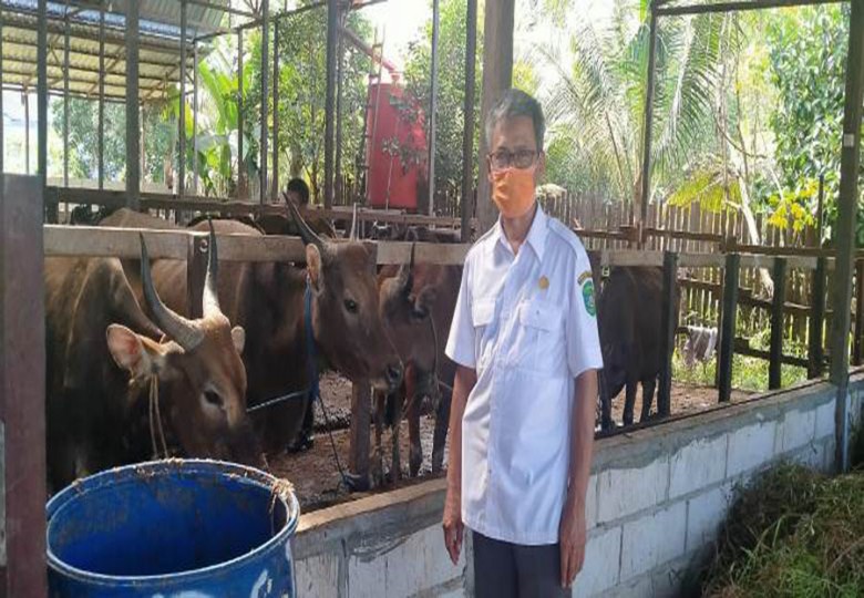 Jelang Idul Adha, Distanak Kukar Pastikan Stok Hewan Kurban Aman