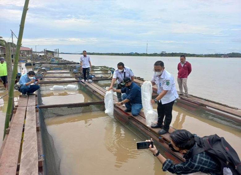 Dorong Usaha Perikanan, DKP Kukar Lakukan Pembinaan ke Pokdakan