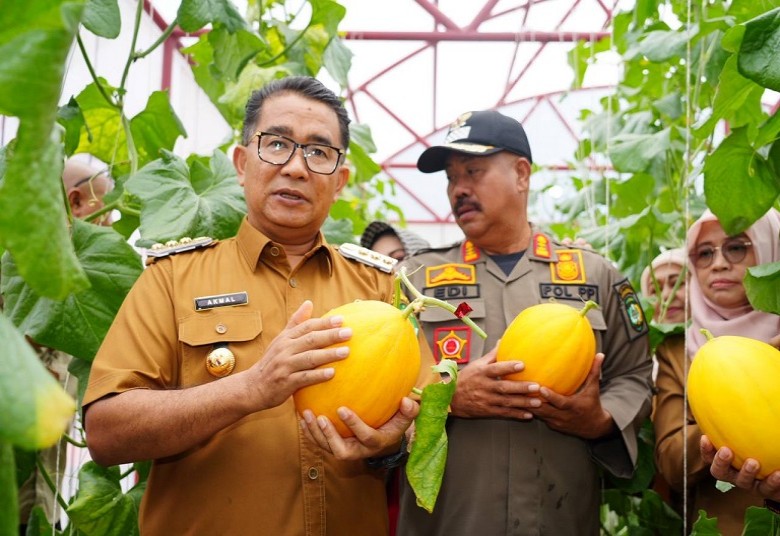 Panen Perdana Melon di Green House Waduk Panji Sukarame, Pj Gubernur: Daerah Masing-masing Miliki Keunggulan Sumber Daya Alam