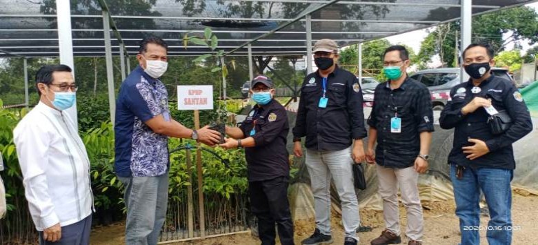 Dinas Kehutanan Kaltim Salurkan Ribuan Bibit Pohon ke 8 KPHP