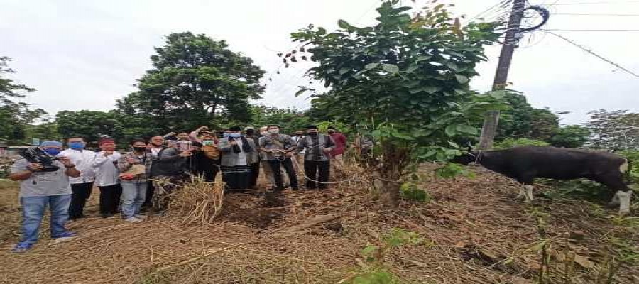 Bupati Kukar Serahkan Hewan Kurban ke Wartawan