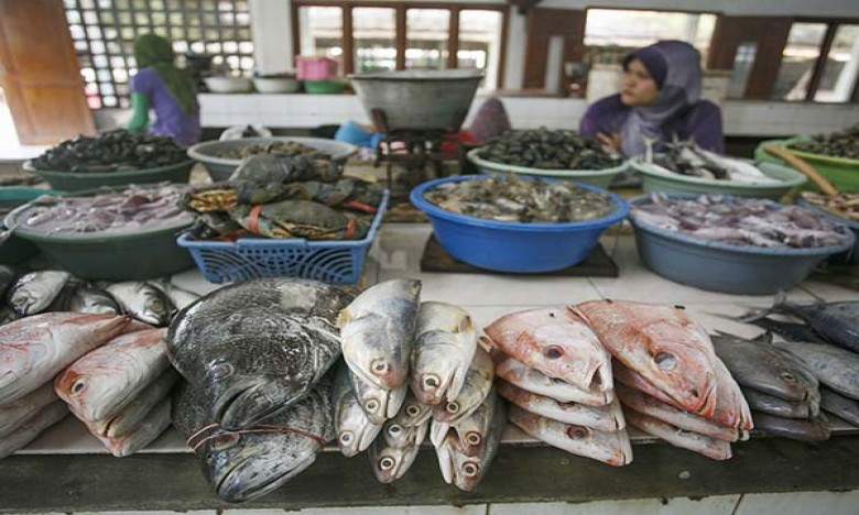 Pasokan dan Stok Ikan Aman Menjelang Natal dan Tahun Baru