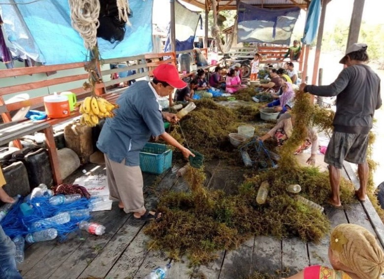 Pabrik Pengolahan Rumput Laut Rampung Dibangun, Muara Badak Ulu Siap Dorong Ekonomi Pesisir