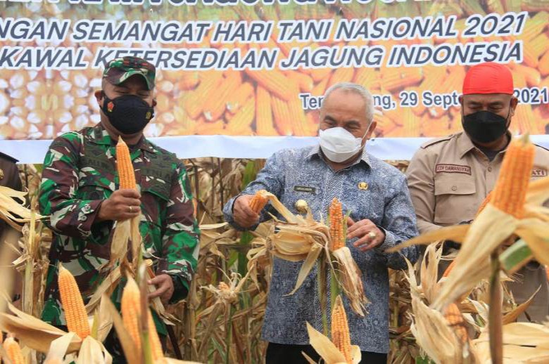 Gubernur Panen Raya Jagung Nusantara di Loa Ipuh