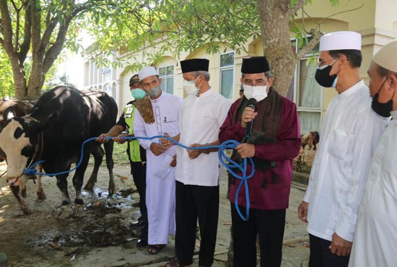 BPIC Kaltim Potong 29 Hewan Qurban