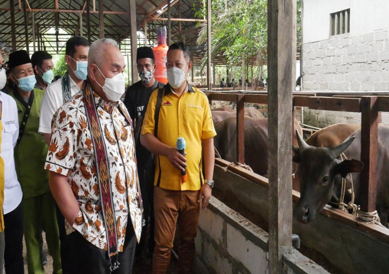 Gubernur Resmikan CSR Program Kemitraan Penggemukan Sapi