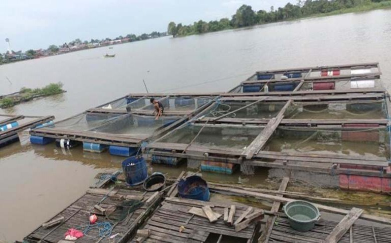 Selain Pariwisata, Desa Pela juga Kembangkan Sektor Perikanan