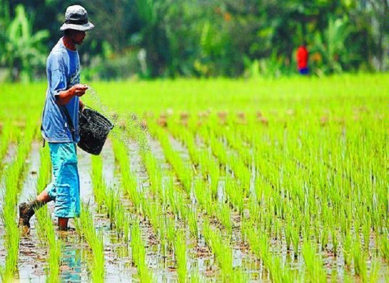 Generasi Muda Kaltim Didorong Ambil Peran Aktif di Sektor Pertanian