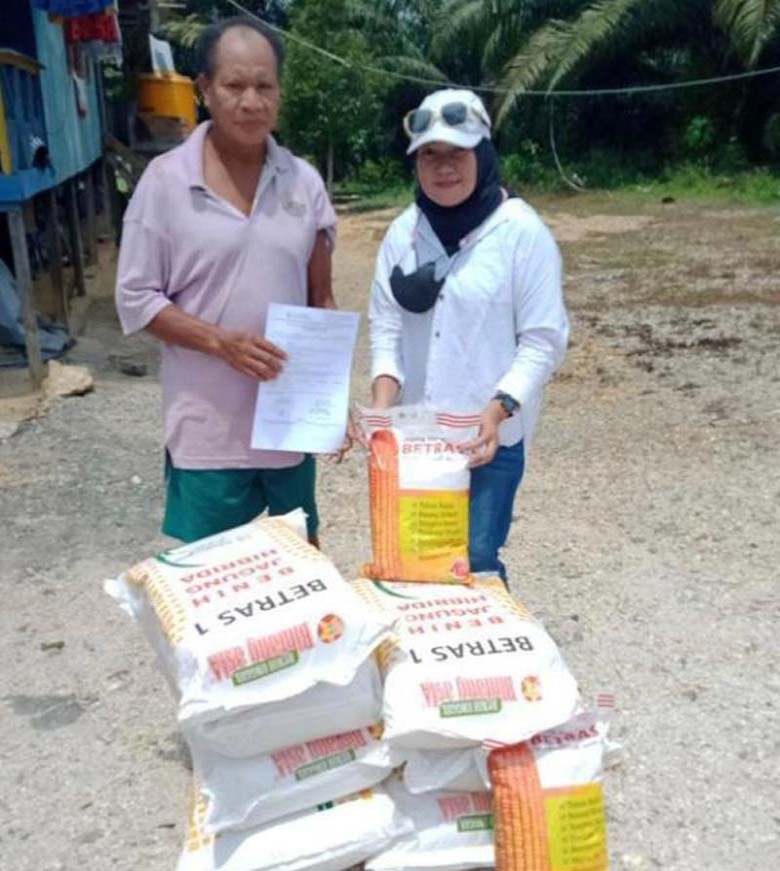 Salurkan 8,4 Ton Benih Jagung, Distanak Harapkan Produksi Jagung Semakin Meningkat