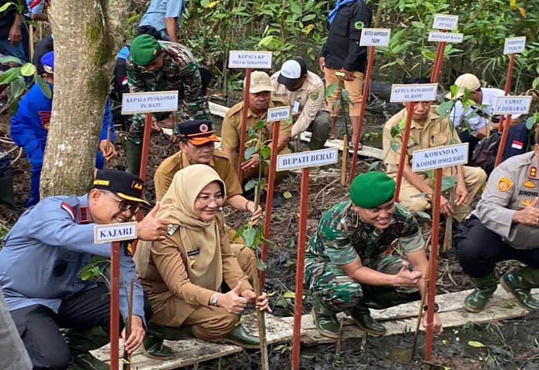 Bupati Berau Lakukan Penanaman Pohon Mangrove di Wilayah Wisata Teluk Semanting