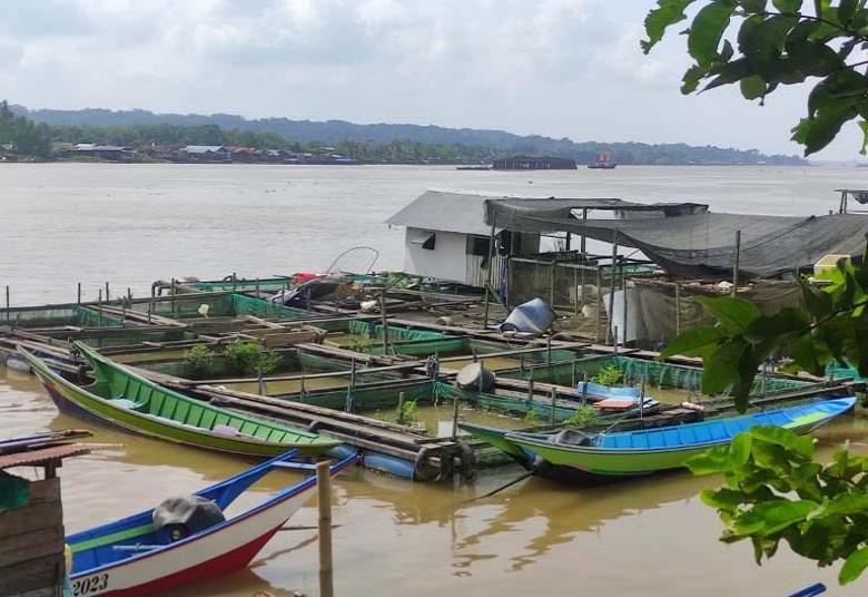 Pemdes Perjiwa Fokus Tingkatkan Sektor Pertanian dan Perikanan