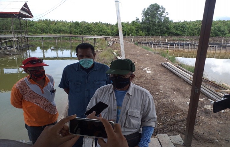Potensi Rumput Laut yang Menjanjikan Kesejahteraan
