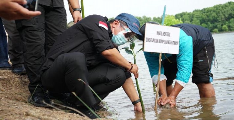 Wamen Lingkungan Hidup Apresiasi Hutan Bakau Alami