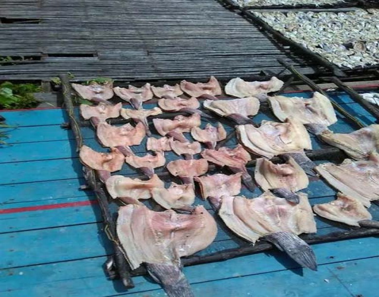 Miliki Potensi Ikan Asin, Pemerintah Desa Semayang Berupaya Kembangkan Melalui Bumdes