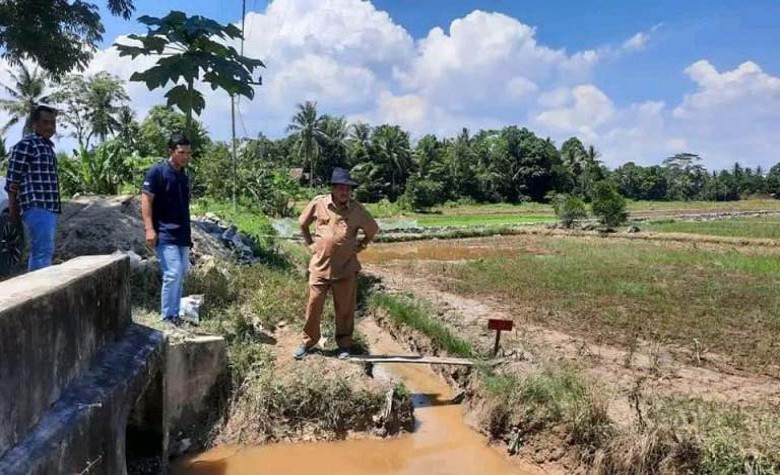 Tingkatkan Produksi Pertanian, Pemkab Kukar Lanjutkan Program Pembangunan Kawasan Pertanian