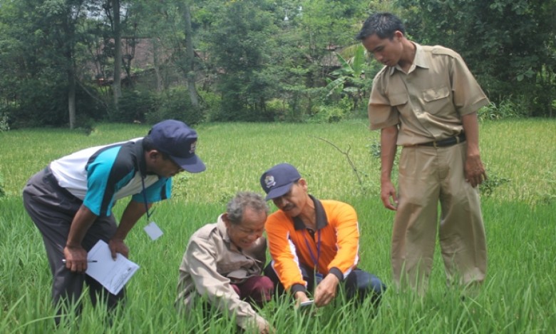 Kaltim Masih Kekurangan Tenaga Penyuluh Pertanian