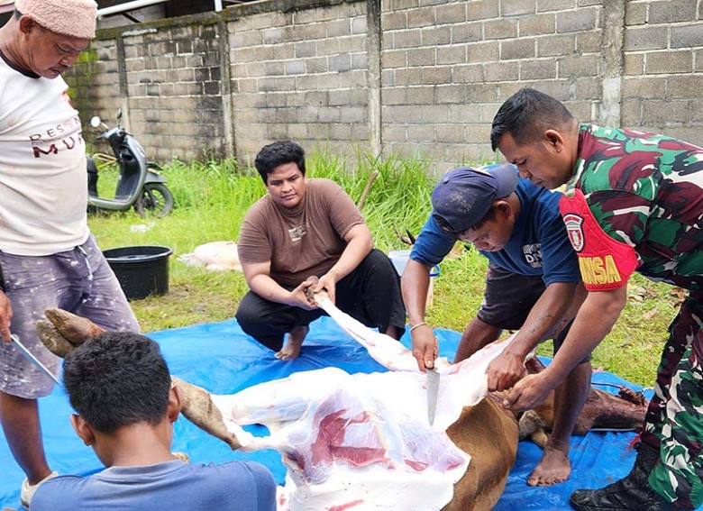 PWI Berau Sembelih 5 Ekor Sapi Kurban Berkat Dukungan Bupati dan Mitra Kerja