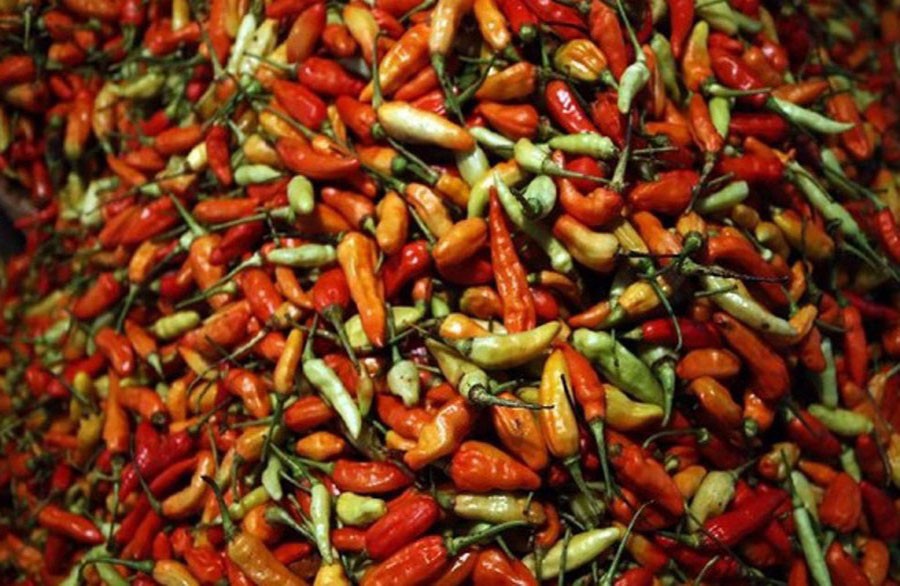 Cuaca Pengaruhi Harga Cabai