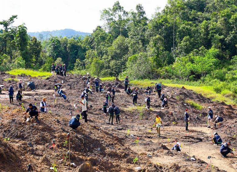 Mengembalikan Fungsi Hutan Bukit Soeharto: IKN Percepat Pemulihan Lahan Bekas Tambang Ilegal