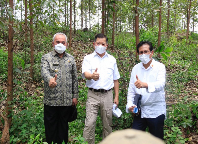 IKN Tidak Mengganggu Satwa Hutan