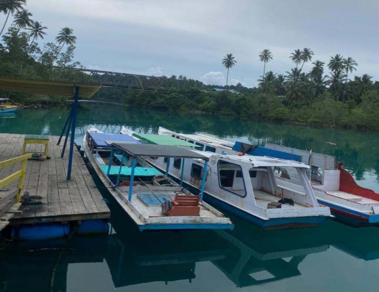 Kemunculan Buaya di Salah Satu Tempat Wisata Unggulan Berau