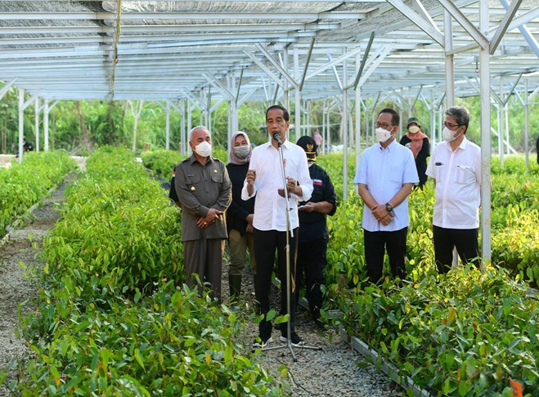 Presiden: Pembangunan IKN Diawali dengan Rehabilitasi Lahan